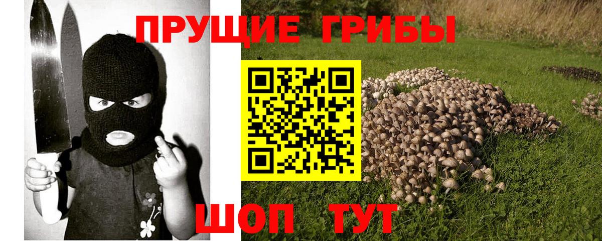 Нижнеудинск  Псилоцибиновые грибы GOLDEN TEACHER  Галлюциногенные грибы GOLDEN TEACHER  Вход с VPN 